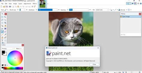 pahindot.net|paint.net 5.0 is now available! – paint.net blog.